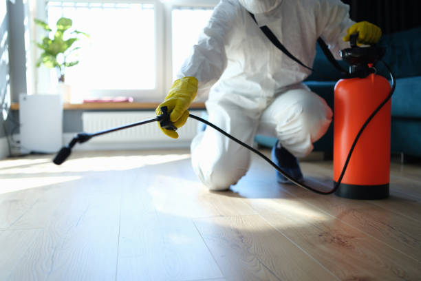 Reliable Hoarding Cleanup contractor in Saint Louisville, OH by Crime Scene Cleaner Online
